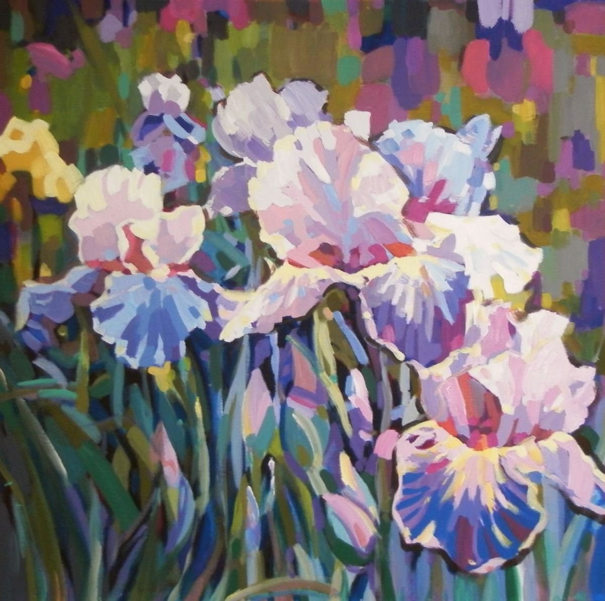 irises Oil painting by Sergey Kachin Artfinder