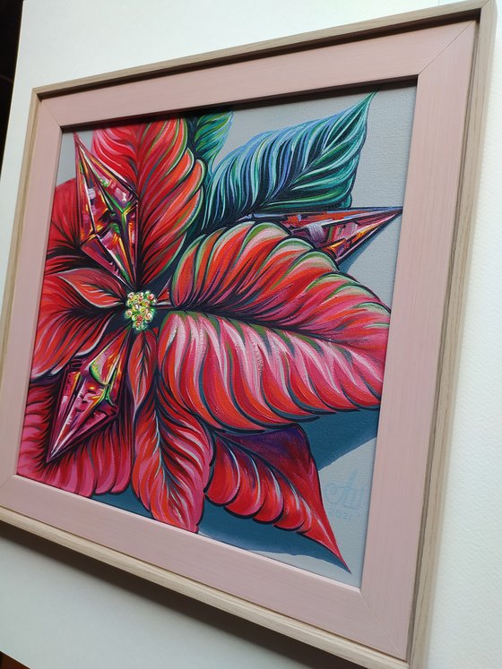 Poinsettia