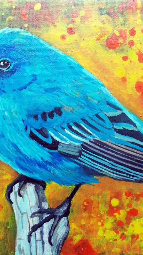 Blue bird by Adriana Vasile