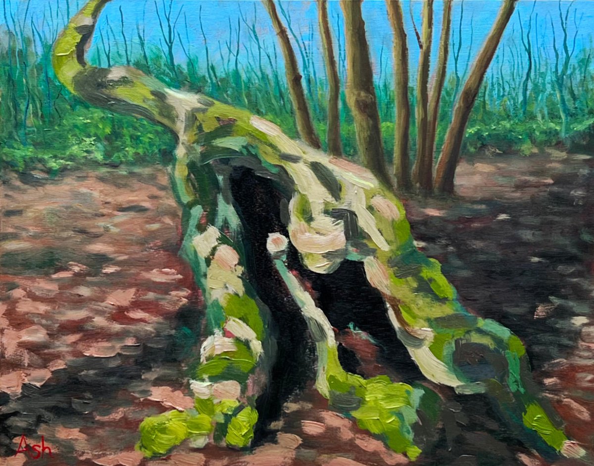 Impressionistic Landscape Oil Painting By Ashley Baldwin-Smith, 14 X 11, Hayley Wood Copse, Original Artwork