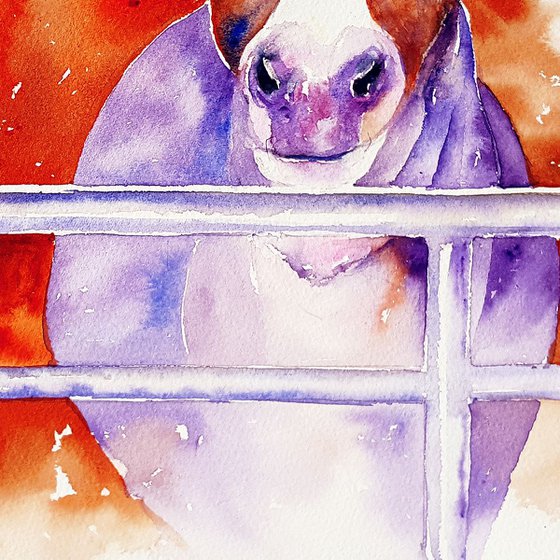 Farm Donkey in Purple