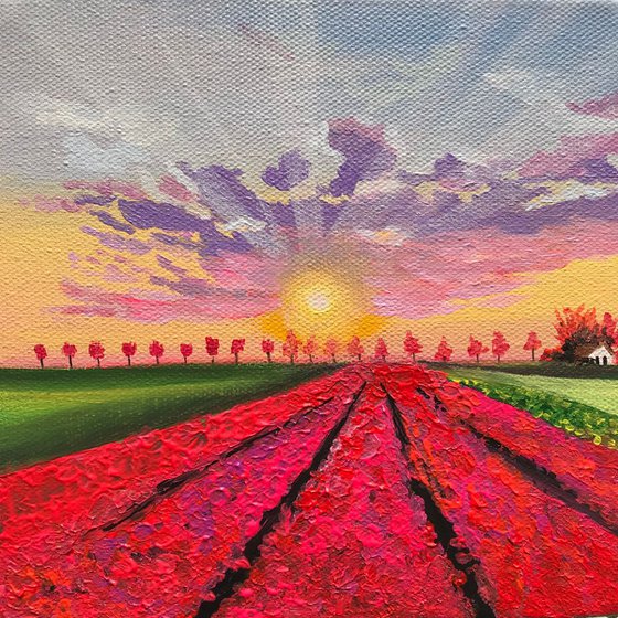 Sunset at tulip fields ! Small Painting!!  Ready to hang