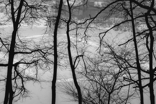 winter by Artem Korenuk