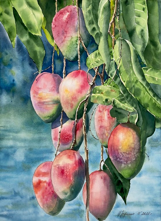 Mango, original watercolour painting