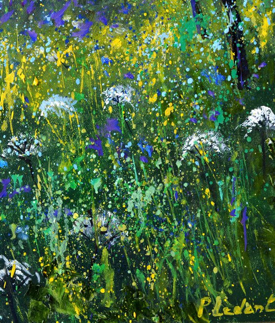 White and blue Wild flowers
