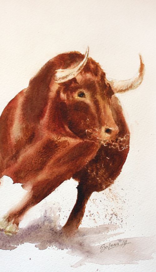 Bull III/  ORIGINAL PAINTING by Salana Art