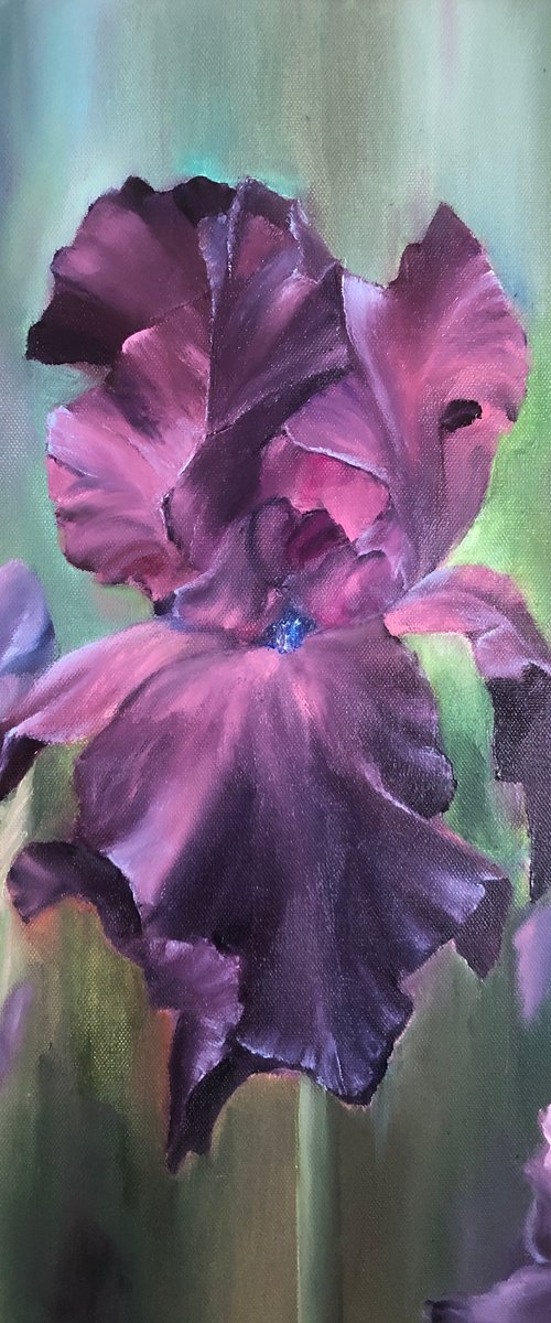 Purple Irises by Alesia Yeremeyeva