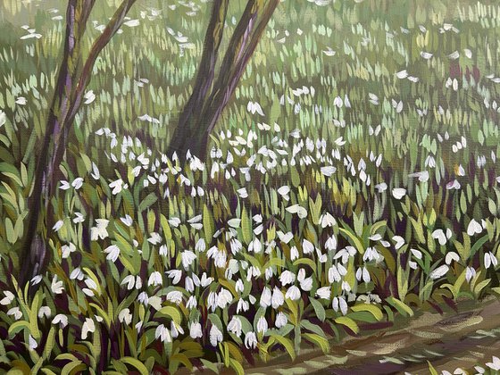 Springtime in the Woods III