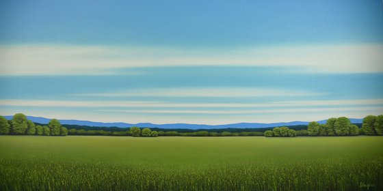 Summer Green - Blue Sky
