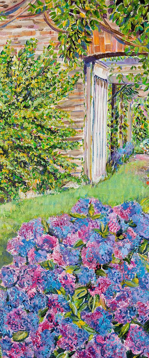 HYDRANGEAS IN THE WALLED GARDEN by Diana Aungier-Rose