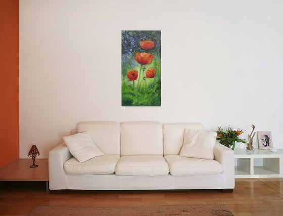 Poppies in my Garden