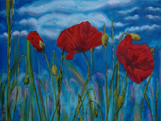 Poppies and clouds
