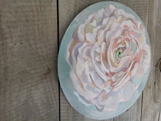 Ranunculus on round canvas.