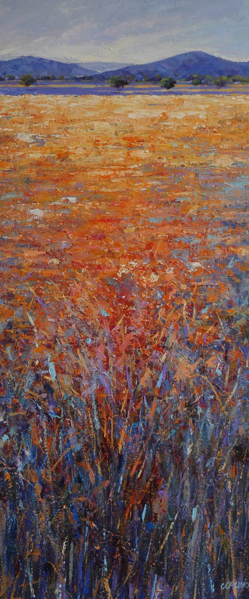 Landscape by Claudio Ciardi