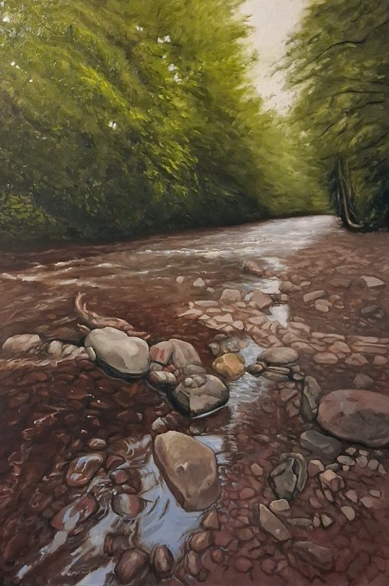 The Riverbank (River Taff)