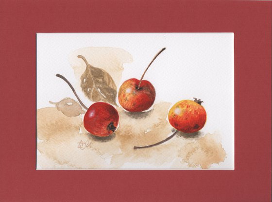 Autumn - Wild apples 2