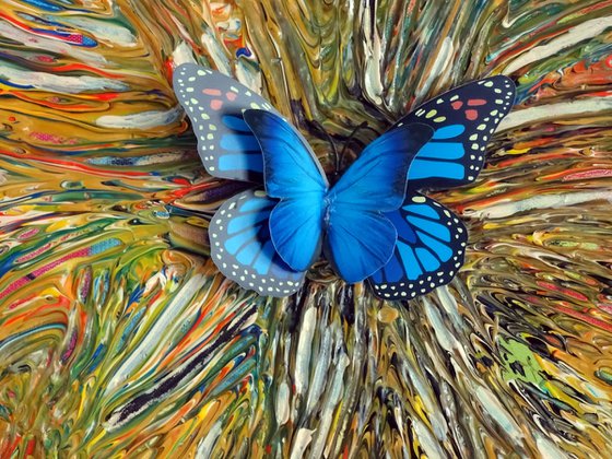 Collage of butterfly wall art