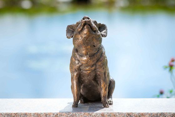 Sitting Piglet FB