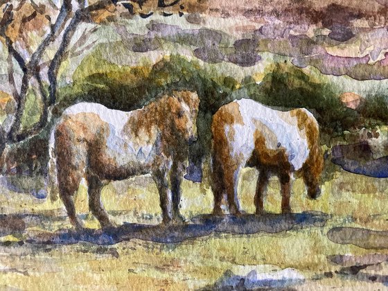 Dartmoor Ponies near Pew Tor