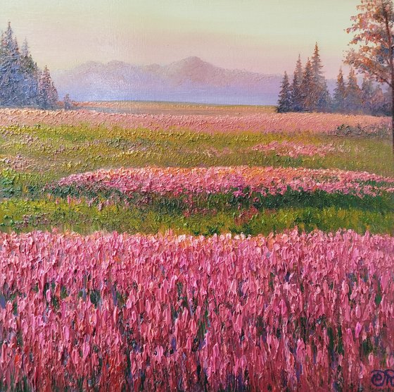 Meadow of flowers