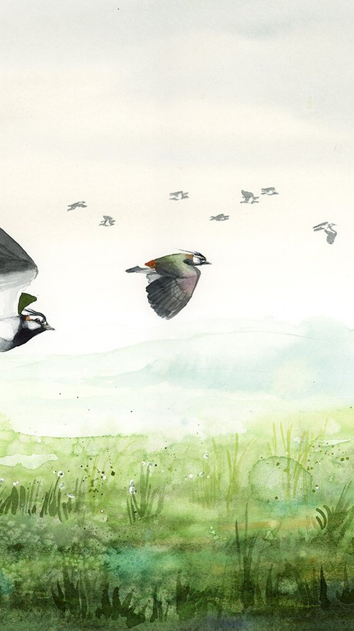 the return of the lapwings by Karolina Kijak