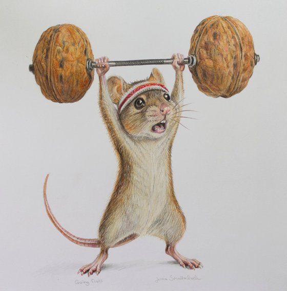 Going Nuts - Colored Pencil Drawing