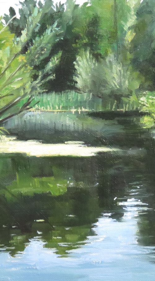 Summers Reflection by Kerry Lisa Davies