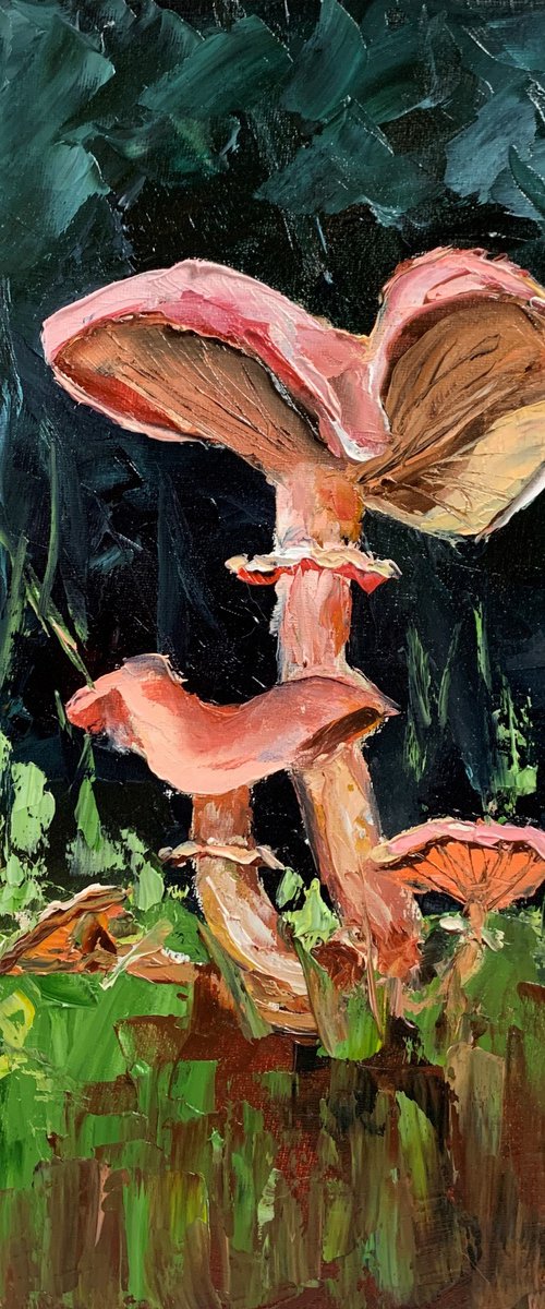 Fungi chanterelle Mushrooms. by Vita Schagen