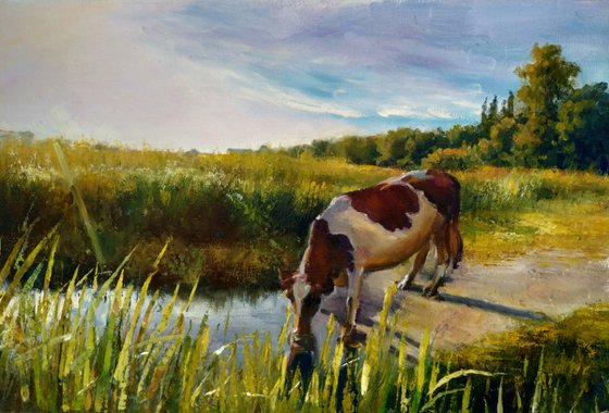 Cow at the watering