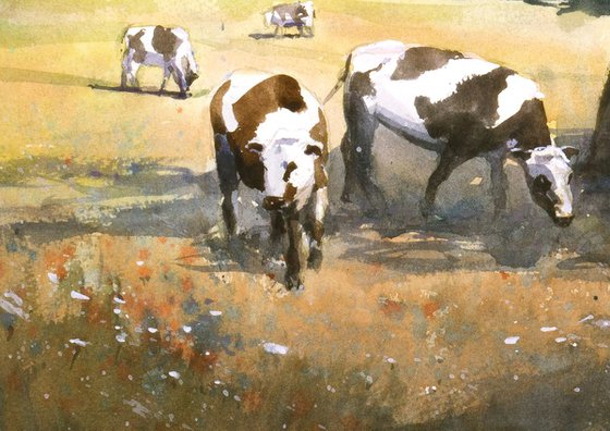 Cows In The Shadow Of A Tree
