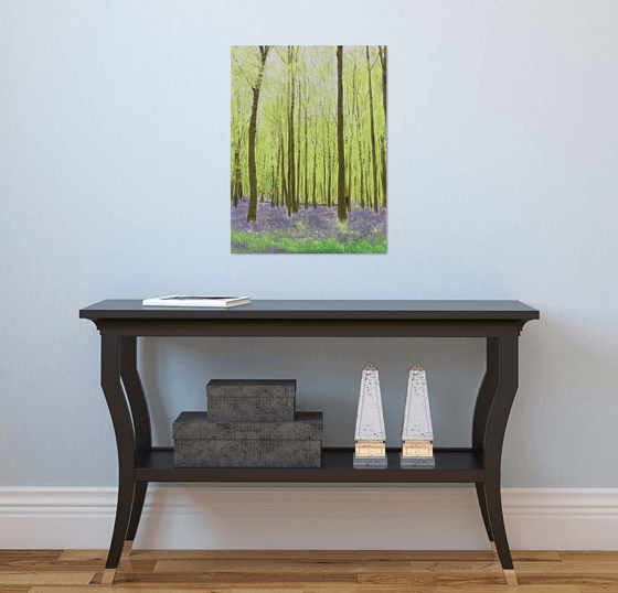 Bluebell Woods