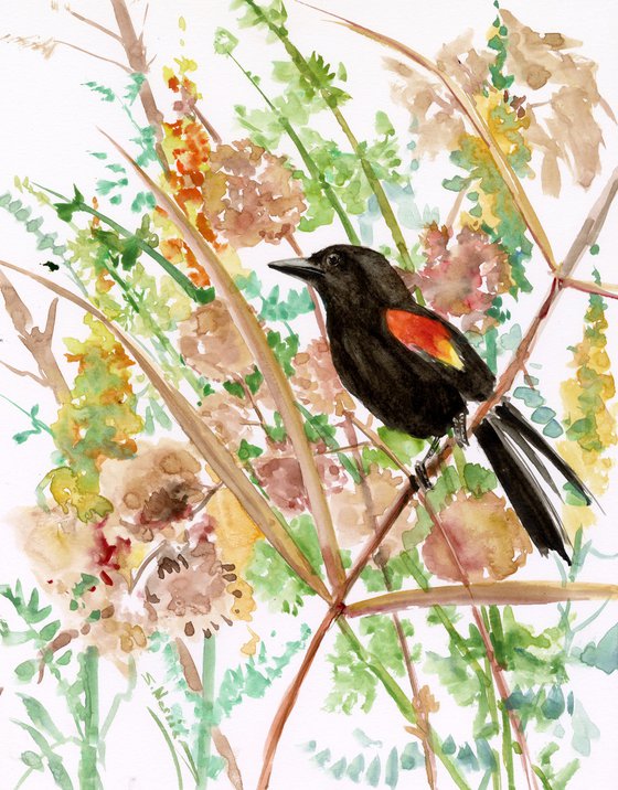 Red Winged Blackbird