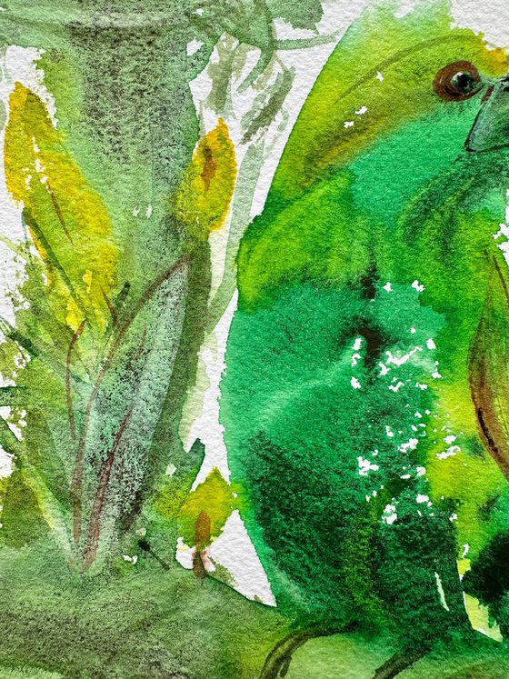 Birds: Toucan and Duck