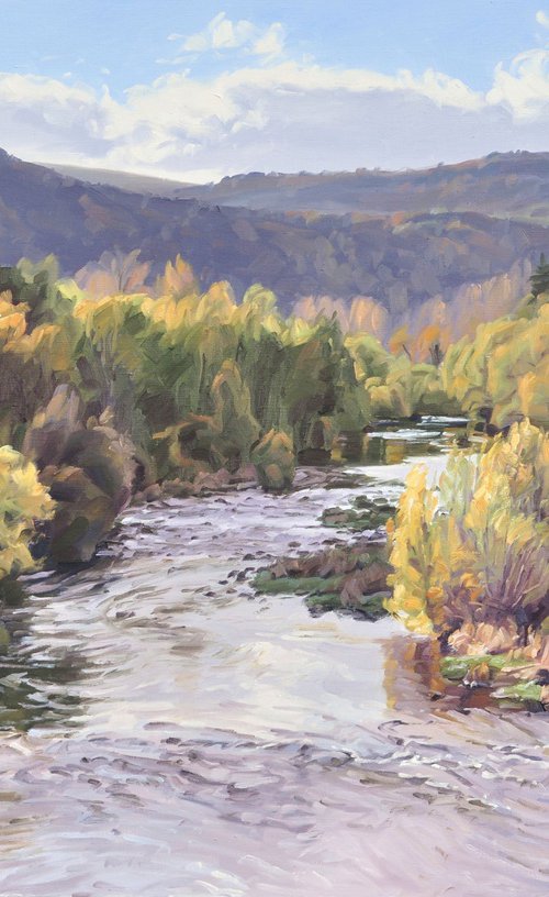 The Loire at Coubon, autumn light by ANNE BAUDEQUIN