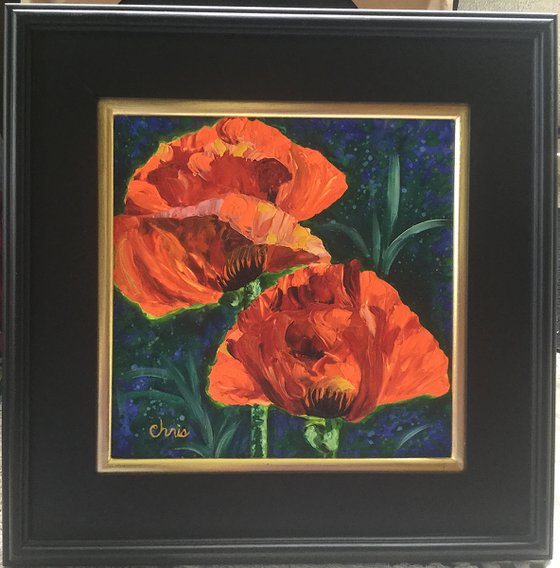 Orange Poppy Duo