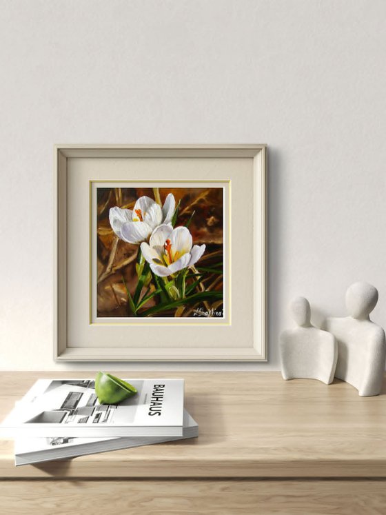 White Crocus Flowers