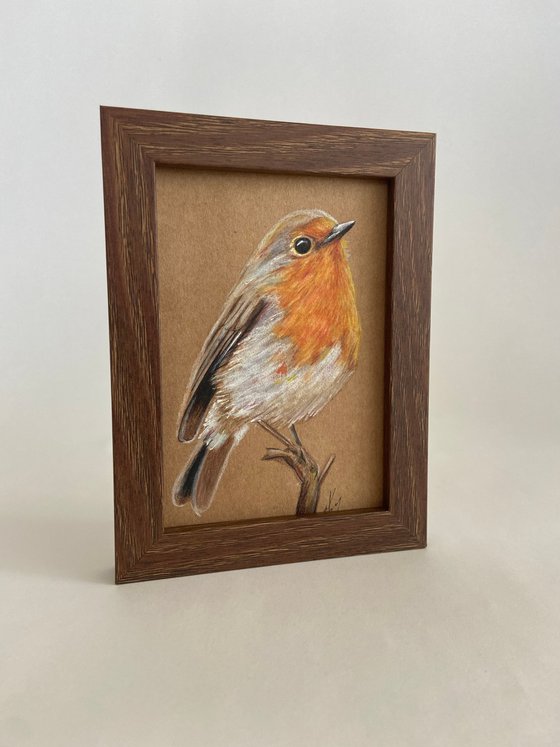 Bird drawing Robin bird mini art framed 11x15 cute mini art