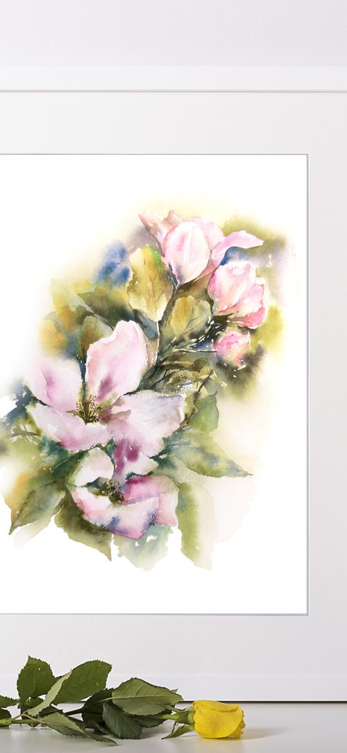 Spring apple blossom, small watercolor floral painting by Olga Grigo