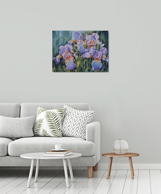 PINK IRISES#4