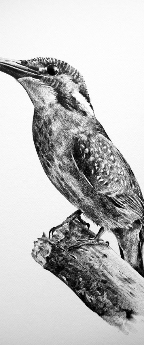 E Lucevan le Stelle by Trevor Salisbury
