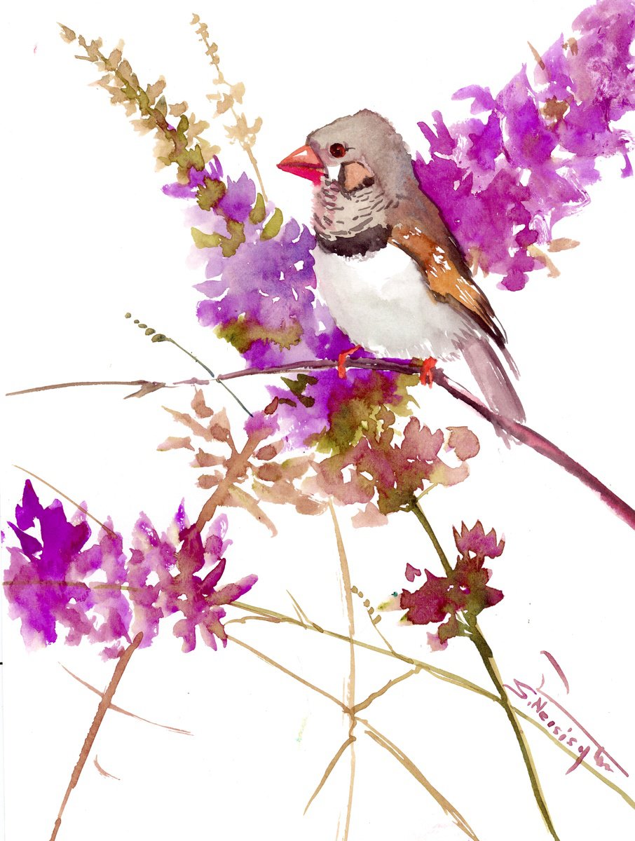 Zebra Finch and Purple Flowers by Suren Nersisyan