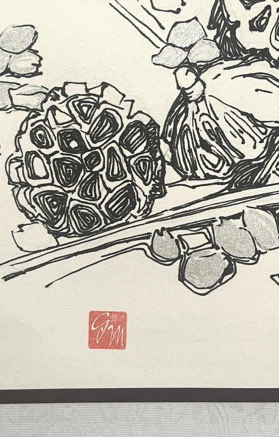 LOTUS PODS. SAKURA