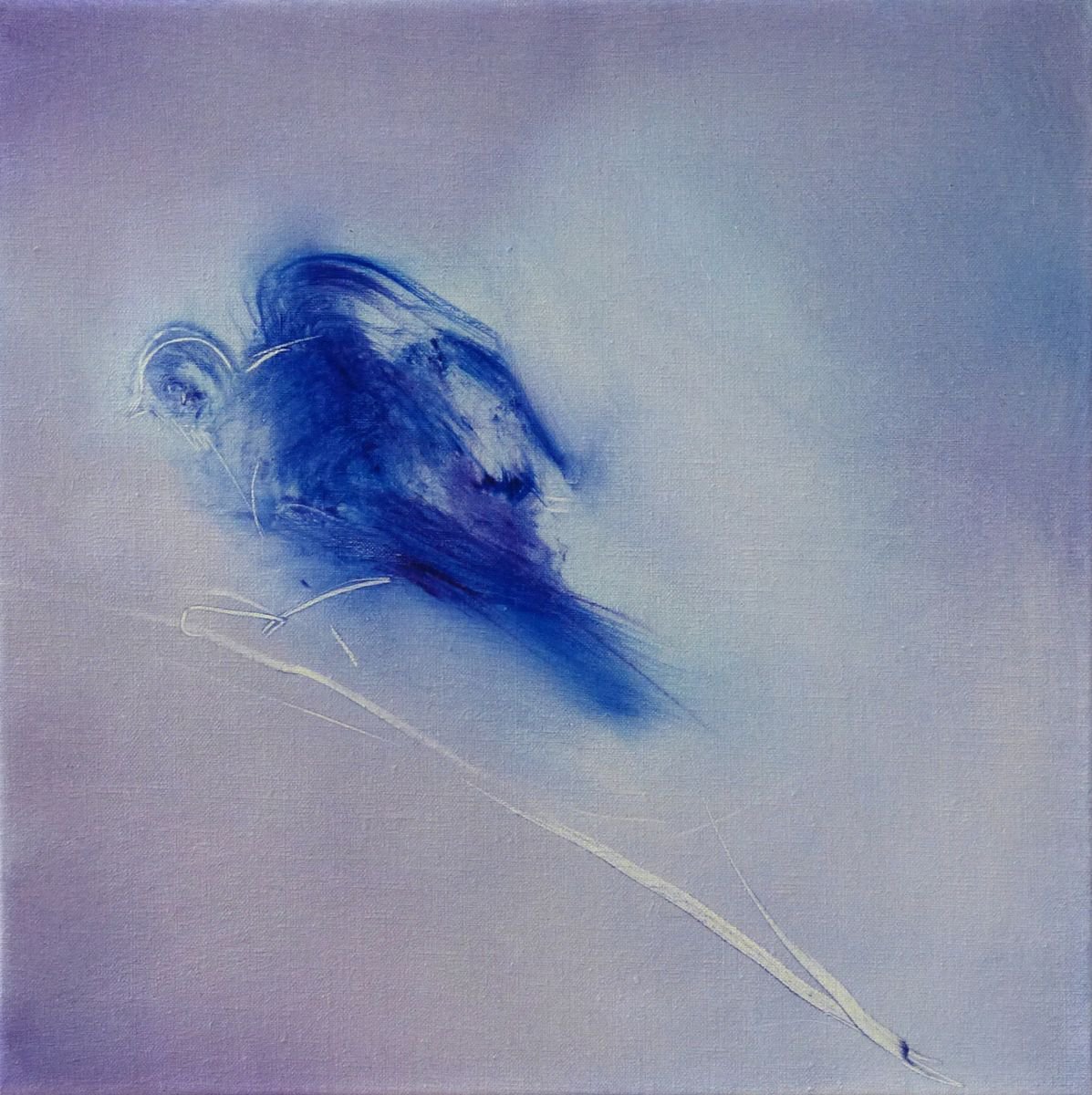 Expressive Animal Oil Painting By Frederic Belaubre, 16 X 16, The Bird On The Branch, Oil On Canvas 40X40 Cm, Original Artwork