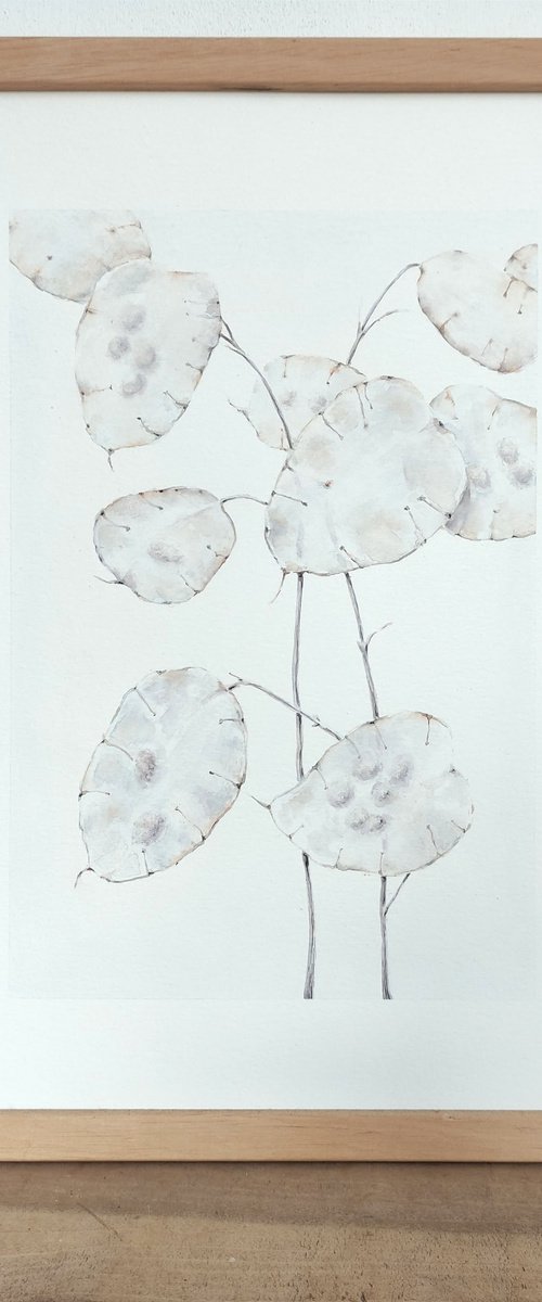 "Lunaria...delicacy" by Yana Dulger