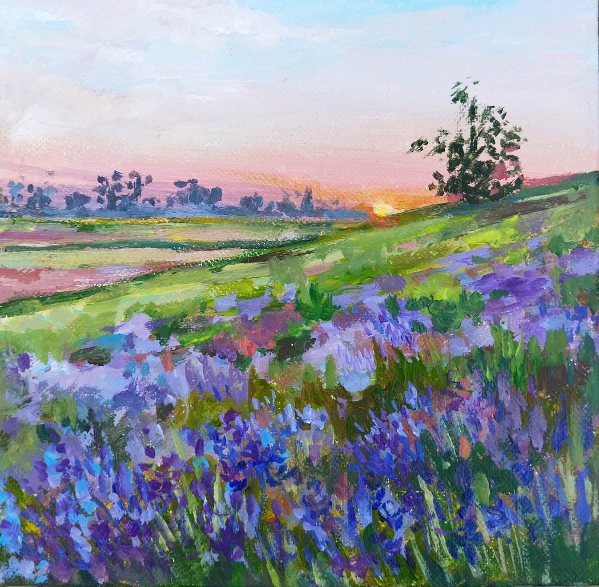 Sunset landscape by Ann Krasikova