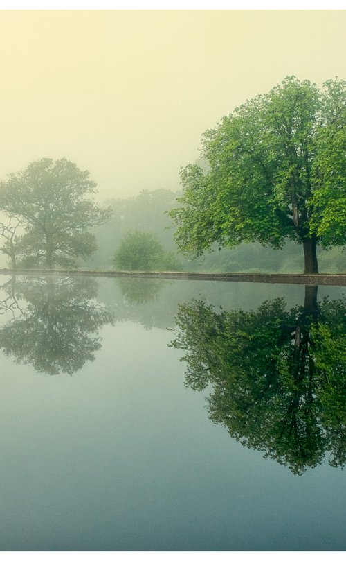 Common Water by David Baker