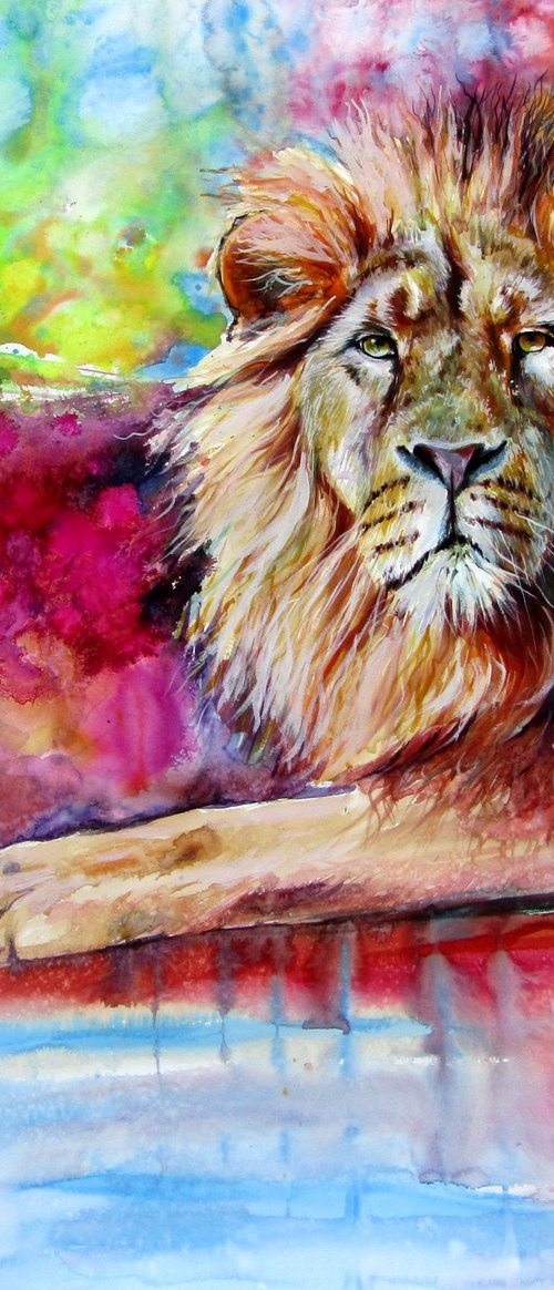 Lion by Kovács Anna Brigitta