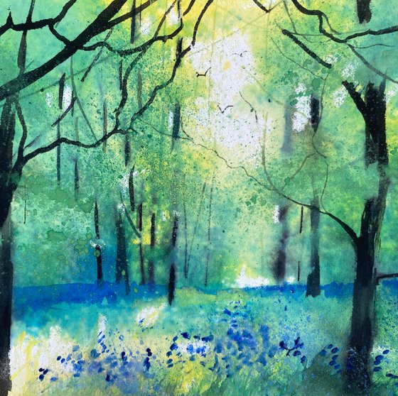 Seasons -  Spring Bluebell Woodland