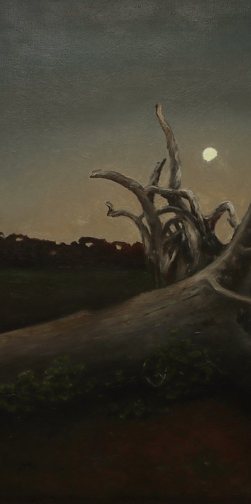 Roots by Oleg Baulin