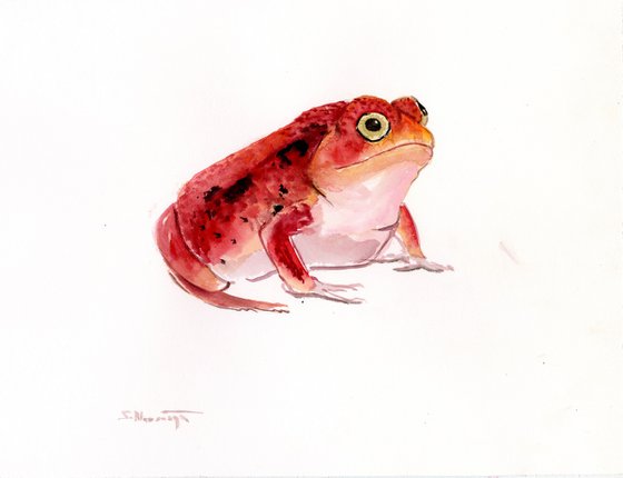 Tomato Frog